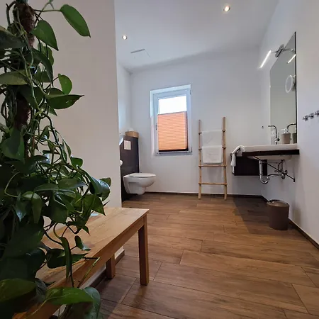 Panorama Filzerhof Apartment Kirchberg in Tirol