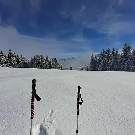 Panorama Filzerhof 아파트