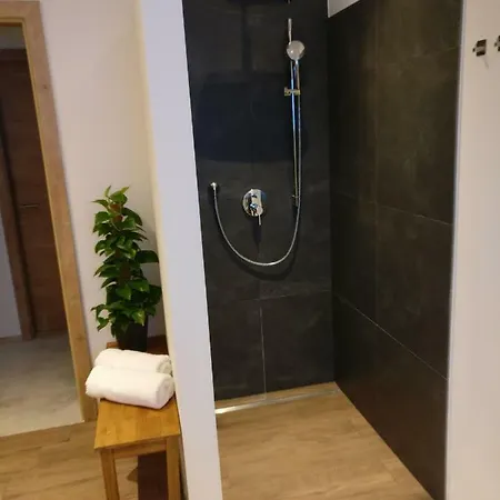 Panorama Filzerhof Apartment